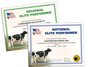 Regional and National Elite Performer