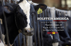 Holstein America