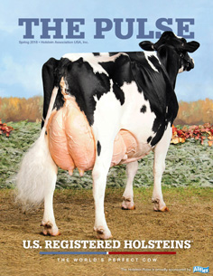 Holstein Pulse