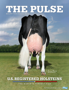 Holstein Pulse