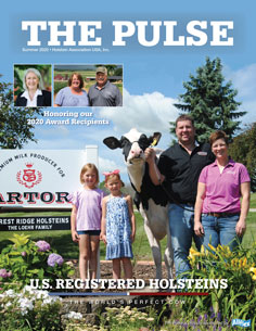 Holstein Pulse