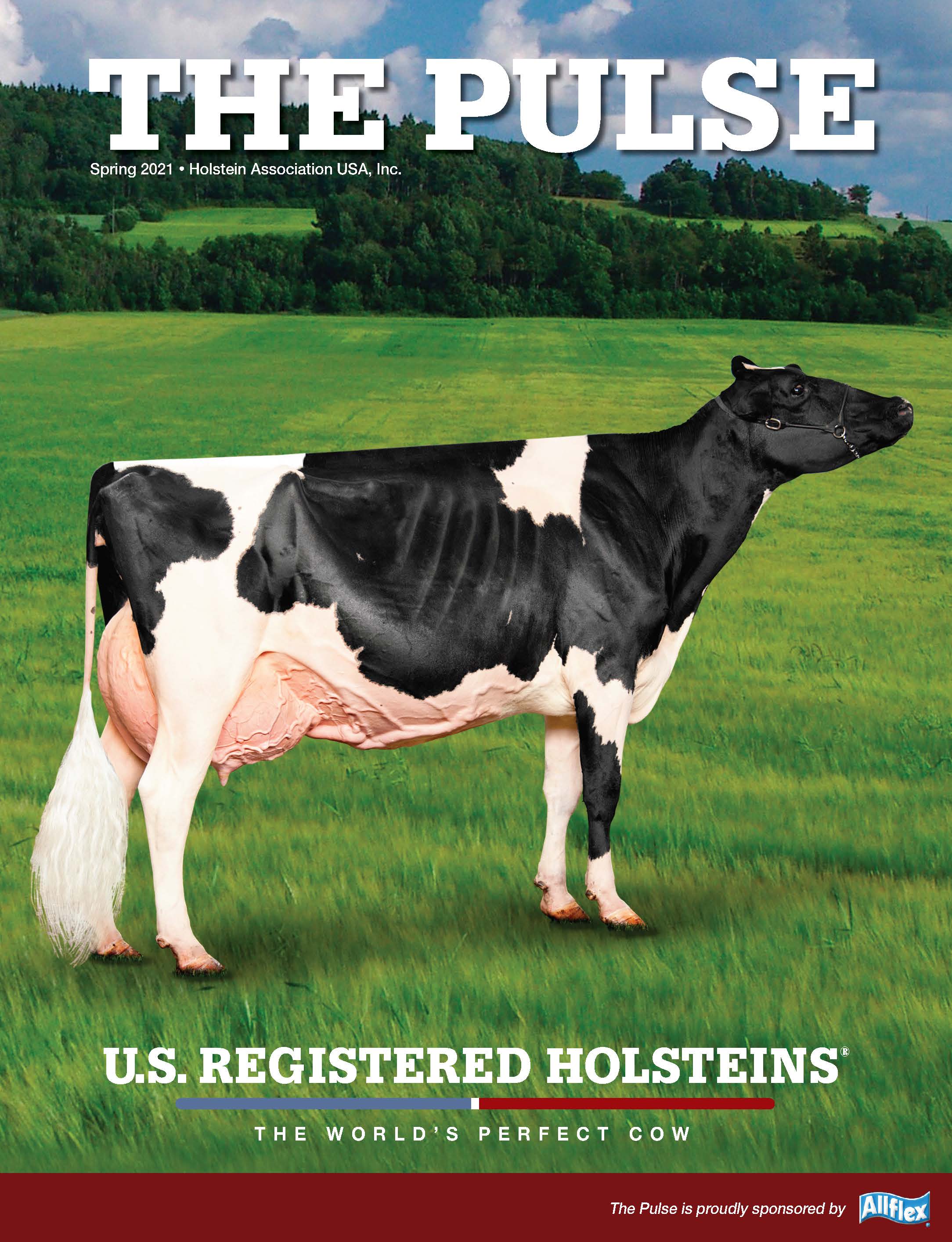 Holstein Pulse