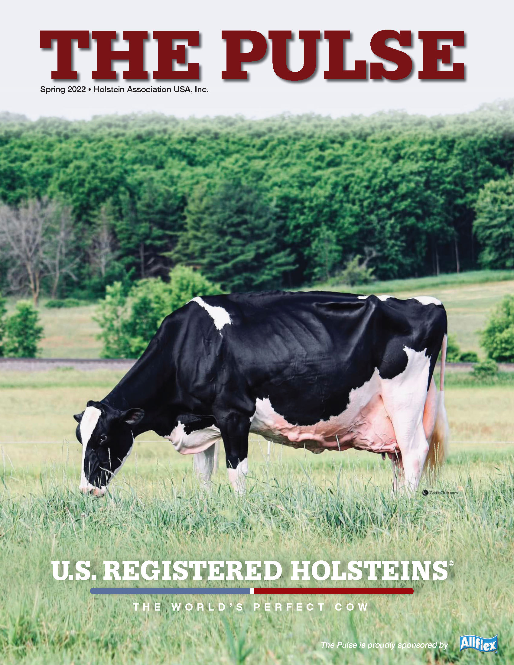 Holstein Pulse