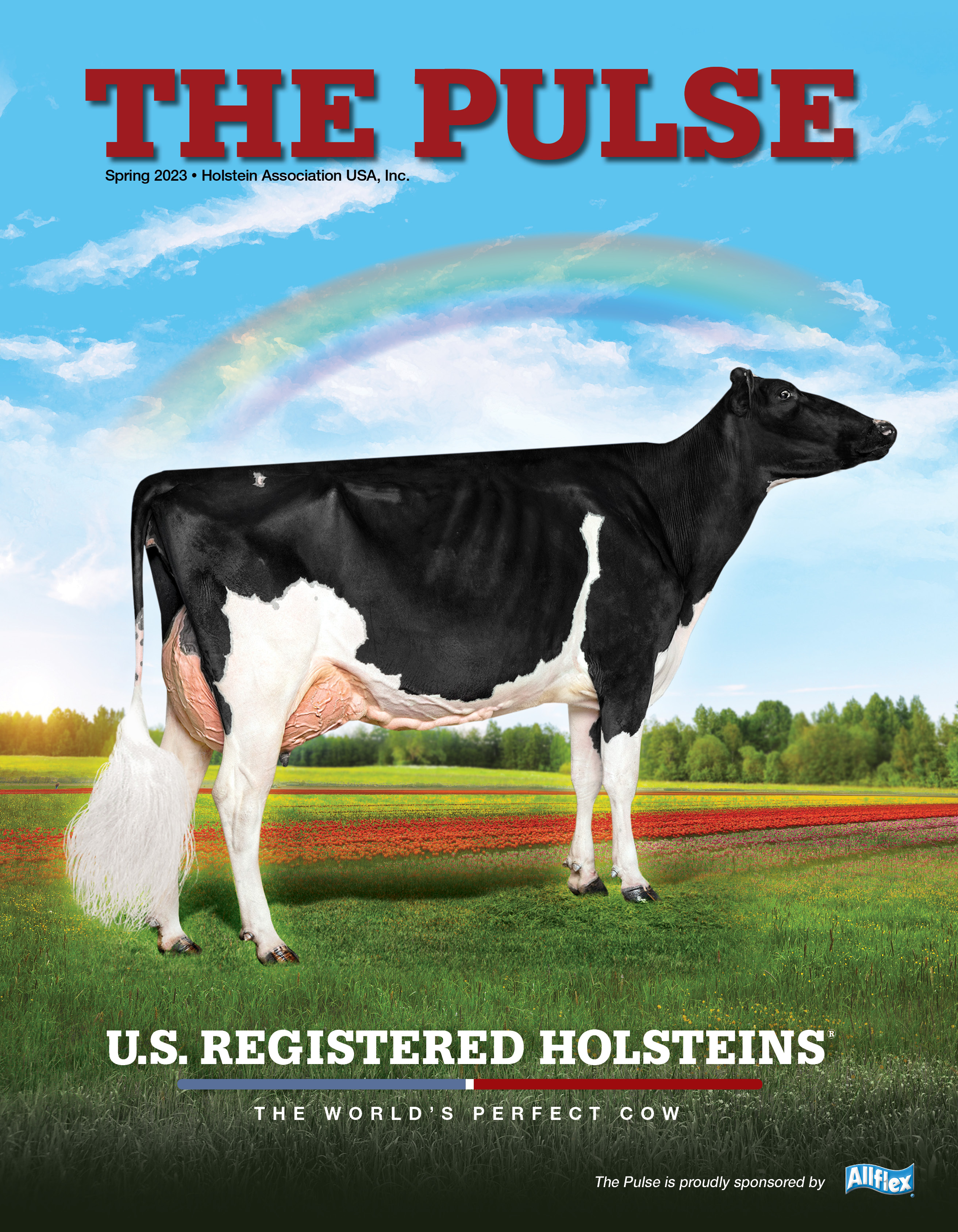 Holstein Pulse