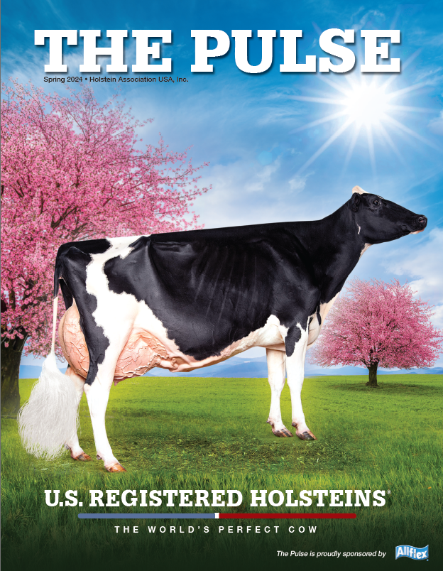 Holstein Pulse