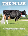 Holstein Pulse: Spring 2020