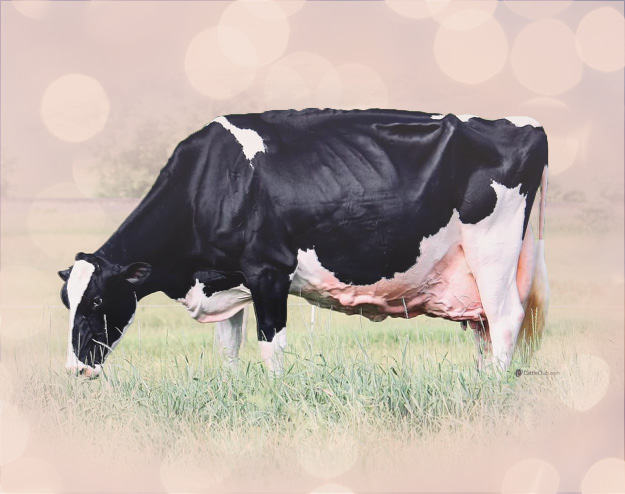 Blondin Goldwyn Subliminal-ETS