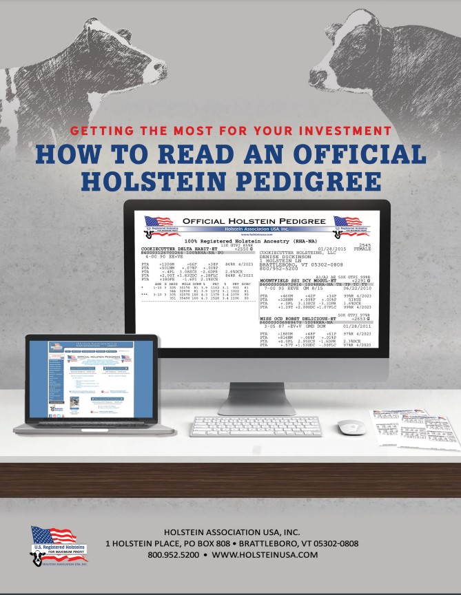 How to Read an Official Holstein Pedigree