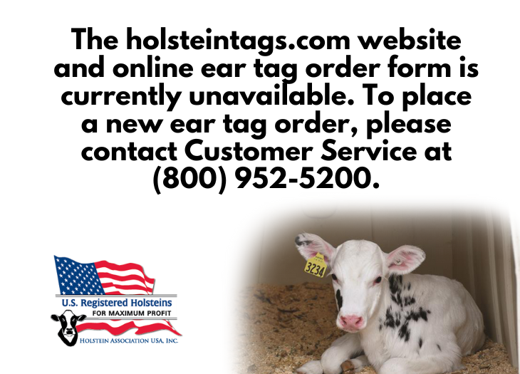 The holsteintags.com website is currently down, Please call (800) 925-5200 to place tag orders